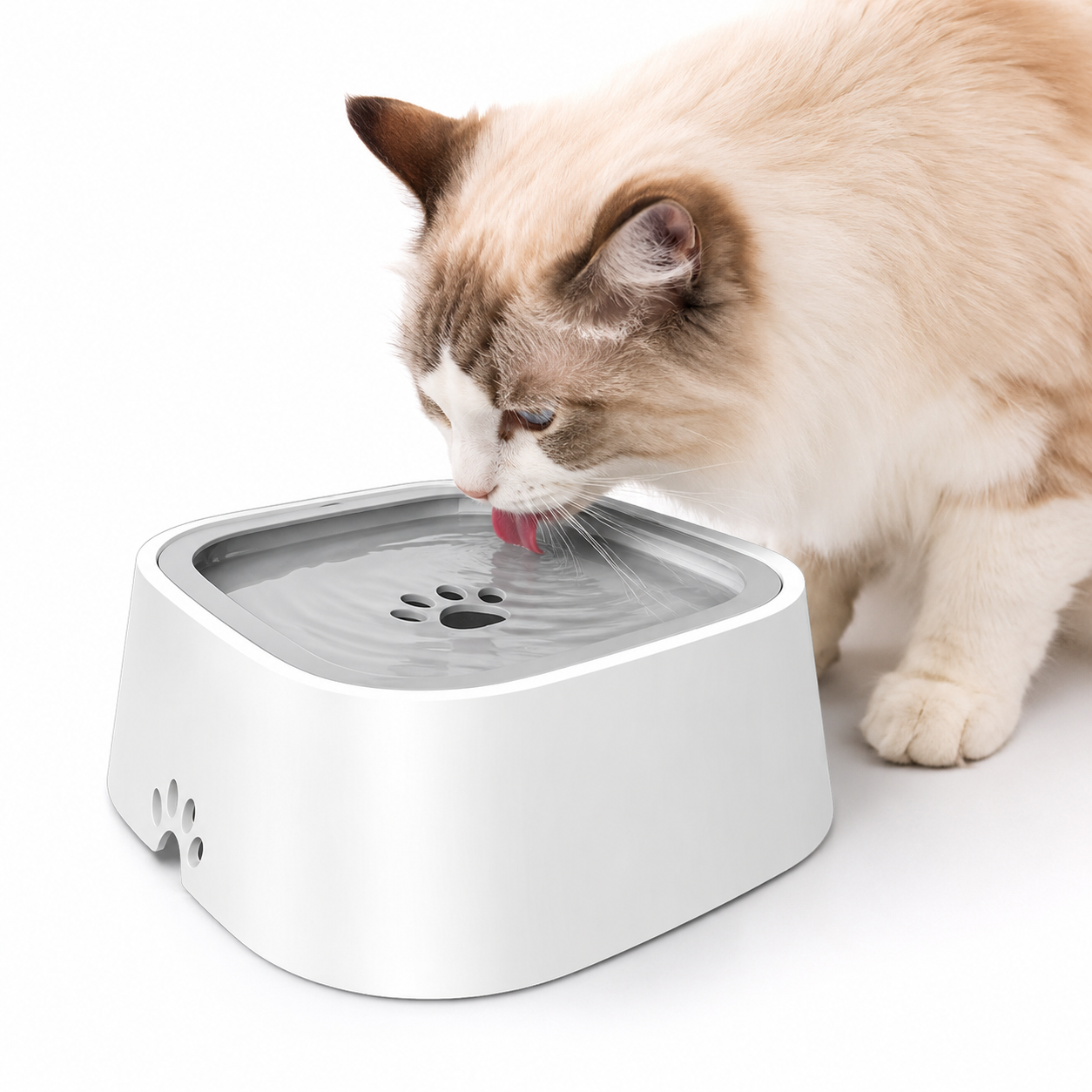 Help Your Pet Drink More Water - Water Dispenser