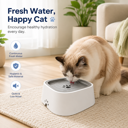 Help Your Pet Drink More Water - Water Dispenser